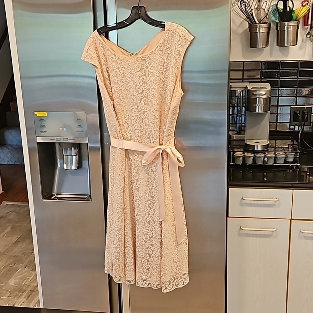 💕TAHARI by ASL💕 Glitter Lace Trim Metallic Ribbon Belted Dress Light Pink 18W - Picture 7 of 14